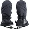 Winter's Edge Mountain Range Mittens - Women's