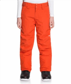 Quiksilver Estate Pant - Boy's -Buckmans Store fw21 eqbtp03033 nze0