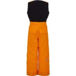 Spyder Expedition Pant - Toddler Boy's -Buckmans Store fw22 195086 823 b