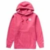 Neff Journey Pullover Hoodie - 2022 Model -Buckmans Store fw22 nef n0admloxx pink