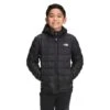 The North Face Thermoball Eco Hoodie - Boy's -Buckmans Store fw22 nf0a5gc5 jk3 hero