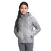 The North Face Thermoball Eco Hoodie - Girl's -Buckmans Store fw22 nf0a5gc6 a91 hero