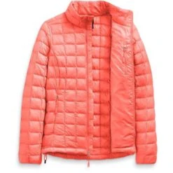 The North Face Thermoball Eco Jacket - Women's -Buckmans Store fw22 nf0a5gld v3s int