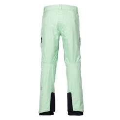 686 GTX Core Shell Pants - Men's -Buckmans Store fw23 68W M2W204 key lime2