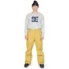 DC SHOES DC Banshee Pants - Men's 2 DC SHOES DC Banshee Pants - Men's -Buckmans Store fw23 dc mensbansheepants bronzemist