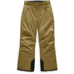 Boys The North Face Freedom Insulated Pant - NF0A34RE