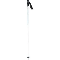 Swix Excalibur Ski Poles -Buckmans Store swix excalibur ski pole light all