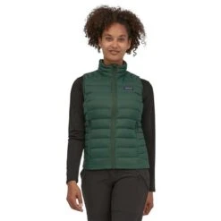 Patagonia Women's Down Sweater Vest With NetPlus - 84629 -Buckmans Store wbf2223 84629 pign dt1